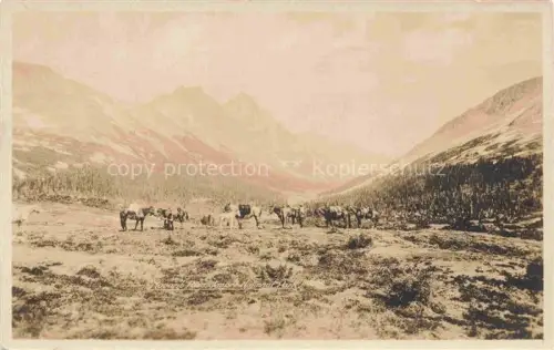 AK / Ansichtskarte Jasper National Park Alberta Canada Packpferde Gebirgstal Berglandschaft Wald Geroell Expedition