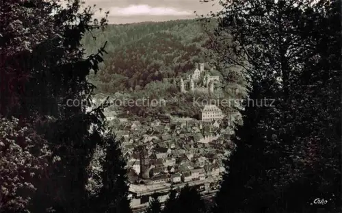 AK / Ansichtskarte Wertheim Main BW Stadtpanorama Burg Wald Baeume Haeuser Fernblick Altstadt