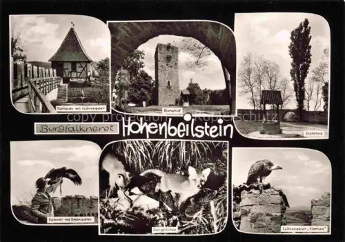 AK / Ansichtskarte Hohenbeilstein (Burg) Beilstein Wuerttemberg Heilbronn BW Burgfalknerei Torhaus Gaensegeier Burghof Zisterne Falkner Steinadler Jungfuechse Burg