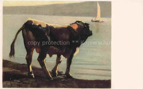 AK / Ansichtskarte KOLLER Rudolf Kuenstlerkarte Schweiz Schwarzfleck Stier 