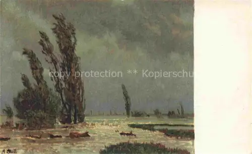 AK / Ansichtskarte STaeBLI Adolf (1843-1901) Kuenstlerkarte Schweiz ueberschwemmtes Land 