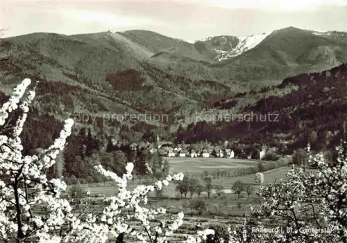 AK / Ansichtskarte Guentersthal Guenterstal FREIBURG Baden Guenterstal Tal Kirche Kirschbluete Berge Schnee Schwarzwald Dorf Nadelwald