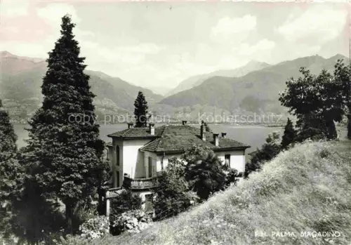 AK / Ansichtskarte Vira-Magadino Locarno TI Villa-Palma Lago-Maggiore See Berge Wald Hotel