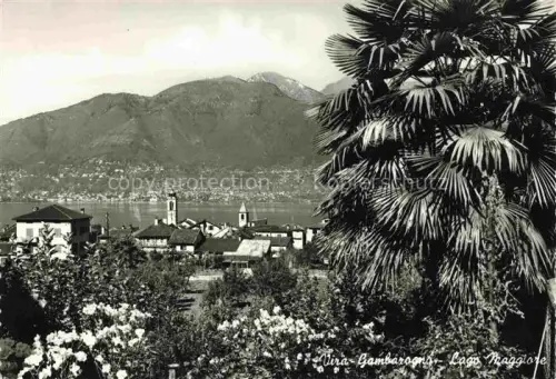 AK / Ansichtskarte Vira-Gambarogno Locarno TI Lago-Maggiore See Dorf Kirche Berge Palmen Blumen