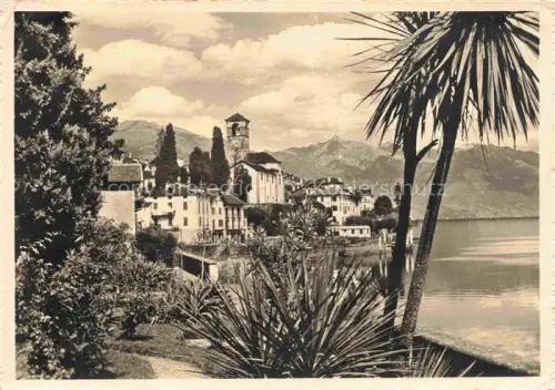 AK / Ansichtskarte Brissago Lago Maggiore TI Lago-Maggiore See Kirche Palmen Seeufer Bergpanorama Hotel-Garten