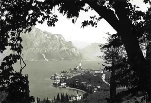 AK / Ansichtskarte Malcesine Lago di Garda Veneto IT Gardasee See Berge Schloss Zypressen Dorf Ufer Panorama-von-oben