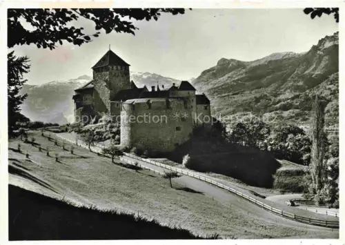 AK / Ansichtskarte Vaduz Liechtenstein FL Schloss-Vaduz Burg Berge Alpen Wiese Strasse Rheintal
