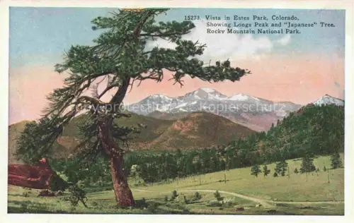 AK / Ansichtskarte Estes Park Colorado USA Longs-Peak Japanese-Tree Rocky-Mountain-National-Park Berge Wiesen Kiefern Vista