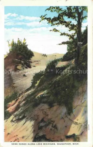AK / Ansichtskarte Saugatuck Michigan USA Sanduenen Lake-Michigan Baeume Duenenlandschaft Kiefer Kuestenblick