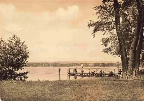 AK / Ansichtskarte Bad Saarow Brandenburg Scharmuetzelsee Dampfer-Anlegestelle Cecilienpark Steg Ufer Baeume See