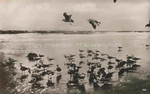 AK / Ansichtskarte WANGEROOGE Wangeroog Nordseebad Moewen Strand Wellen Nordsee Voegel nasser-Sand Meereskueste fliegende-Moewen
