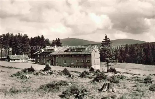AK / Ansichtskarte Torfhaus Altenau Harz Niedersachsen Jugendherberge Brockenblick Oberharz Nadelwald Hochmoor Berghotel Baumstuempfe