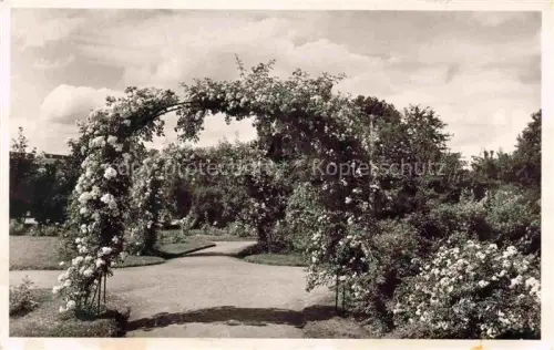 AK / Ansichtskarte Zweibruecken Pfalz Rosengarten Rosenbogen Rosen Park Weg Blumen Garten