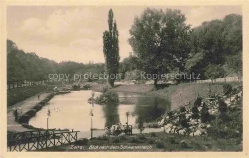 AK / Ansichtskarte ZEITZ Sachsen-Anhalt Schwanenteich Teich Park Bruecke Pappel Baeume Schwaene Spaziergaenger