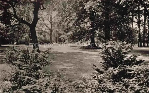 AK / Ansichtskarte Versmold Guetersloh NRW Stadtpark Baeume Rasen Weg Nadelbaeume Laubbaeume