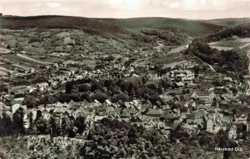AK / Ansichtskarte BAD ORB Hessen Herzbad Gesamtansicht Kurbad Haeuser Tal Huegel Wald