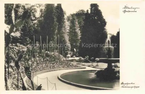 AK / Ansichtskarte ueberlingen Bodensee BW Stadtgarten Kakteengruppe Brunnen Fontaene Gartenanlage Kaktus Baeume Bodensee