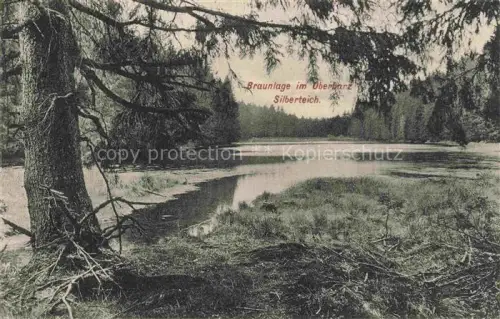 AK / Ansichtskarte Braunlage Harz Niedersachsen Silberteich Teich Oberharz Wald Nadelbaeume Spiegelung Ufer