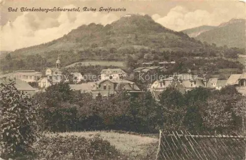 AK / Ansichtskarte Bad Blankenburg Stadtansicht Ruine-Greifenstein Schwarzatal Berg Haeuser Kirche Baeume