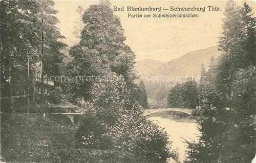 AK / Ansichtskarte Bad Blankenburg Schweizerhaeuschen Fluss Bruecke Baeume Schwarzatal Park Hotel Thueringen