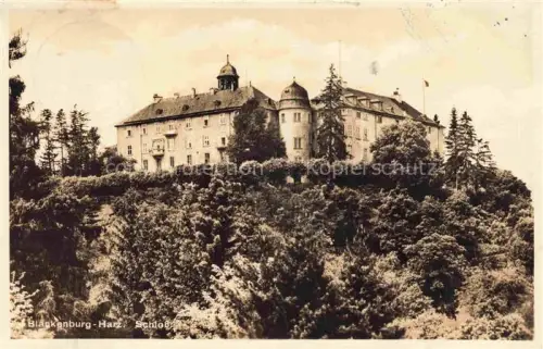 AK / Ansichtskarte Blankenburg Harz Schloss Burg Huegel Baeume Harz Turm
