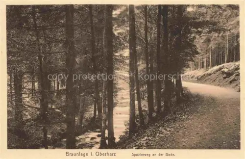 AK / Ansichtskarte Braunlage Harz Niedersachsen Spazierweg Bode Wald Fluss Weg Nadelwald Harz Oberharz