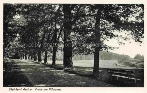 AK / Ansichtskarte Bad Arolsen Wildkamp Allee Baeume Park Bank Weg Wiesen Luftkurort