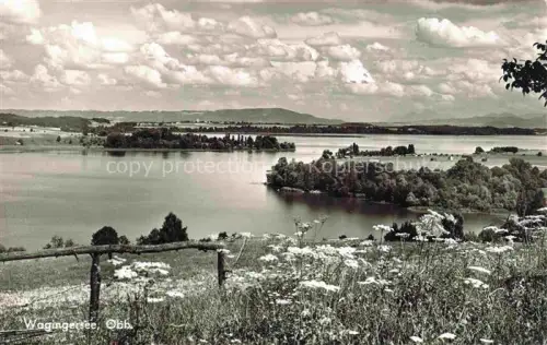 AK / Ansichtskarte Otting Waging See Wagingersee Salzkammergutberge Alpen See Insel Baeume Wiesen Blumen Oberbayern