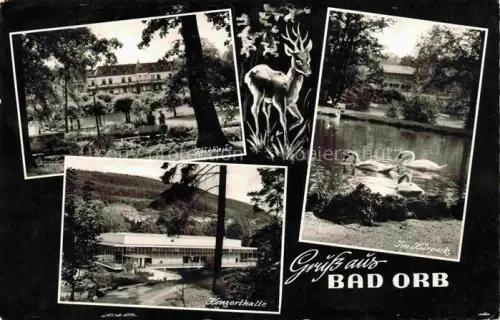 AK / Ansichtskarte BAD ORB Hessen Kurhaus Konzerthalle Kurpark Reh Schwaene Teich