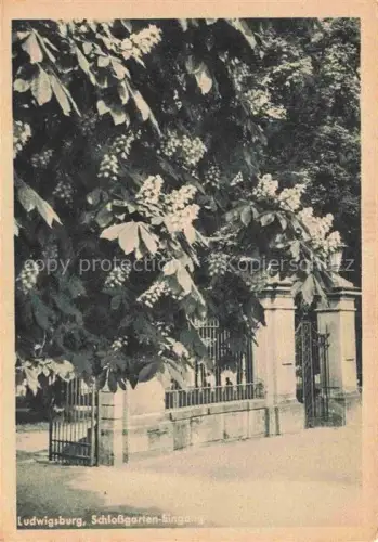 AK / Ansichtskarte LUDWIGSBURG  BW Schlossgarten-Eingang Tor Gittertor Kastanien Blueten Mauer