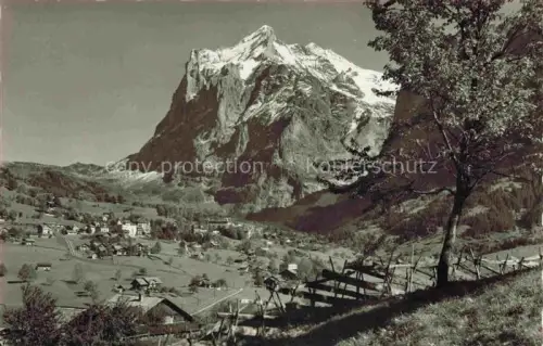 AK / Ansichtskarte Grindelwald BE Wetterhorn Bergdorf Tal Wiesen Baeume Zaun Herbstlandschaft Hotels