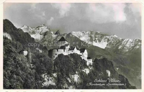 AK / Ansichtskarte Vaduz Liechtenstein FL Schloss-Vaduz Fuerstentum-Liechtenstein Burg Berge Felsen Wald Turm Rheintal