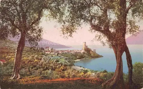 AK / Ansichtskarte Malcesine Lago di Garda Veneto IT Lago-di-Garda Skaligerburg Olivenbaeume Ortschaft Seeufer Turm