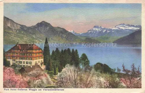 AK / Ansichtskarte Weggis Vierwaldstaettersee LU Weggis Park-Hotel-Bellevue Vierwaldstaettersee Berge See Hotel Fruehlingsbluete