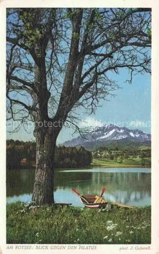 AK / Ansichtskarte Rotsee Luzern LU Rotsee Pilatus See Baum Ruderboot Wiese Bergpanorama