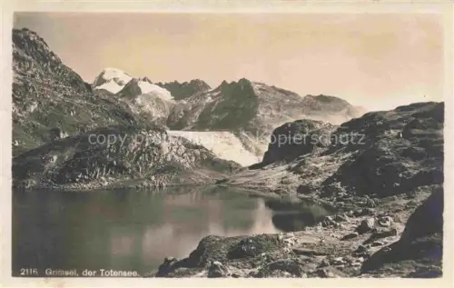 AK / Ansichtskarte Triebtenseelicke Totensee Grimsel Bergsee Gletscher Felsen Bergpanorama Schnee