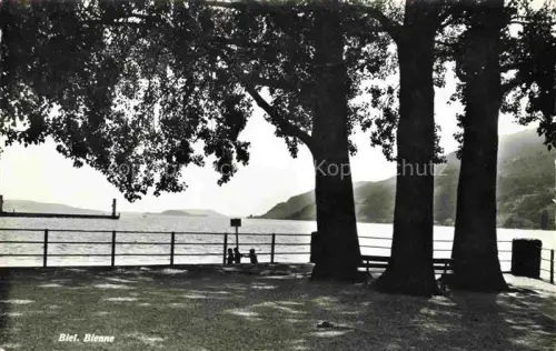 AK / Ansichtskarte Biel Bienne BE Bielersee Seeufer Baeume Promenade Bank Huegel Silhouette