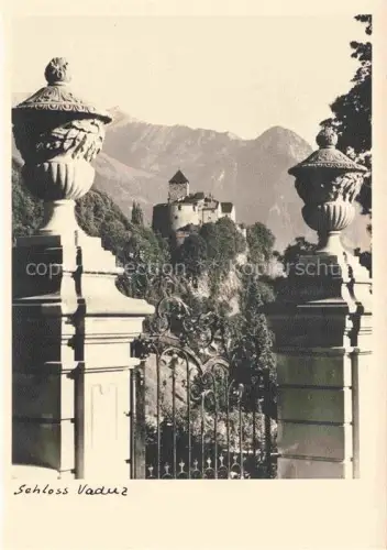 AK / Ansichtskarte Vaduz Liechtenstein FL Schloss-Vaduz Burgtor Schmiedeeisengitter Vasen Felsen Berge