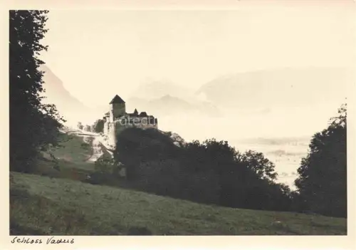 AK / Ansichtskarte Vaduz Liechtenstein FL Schloss-Vaduz Burganlage Rheintal Berge Wiese Baeume Nebel