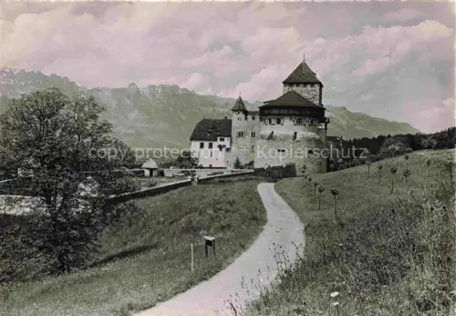 AK / Ansichtskarte Vaduz Liechtenstein FL Schloss-Vaduz Fuerstenresidenz Zufahrtsweg Rundturm Berge Wiese