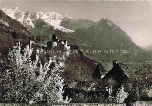 AK / Ansichtskarte Vaduz Liechtenstein FL Schloss-Vaduz Falknis Fruehling Obstbluete Rheintal Berge Schneeberge