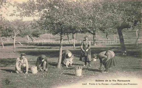AK / Ansichtskarte aepfel Pommes Apples Manzanas Melas Obst Fruit Frutta Fruta-- La Vie Normande la ferme 