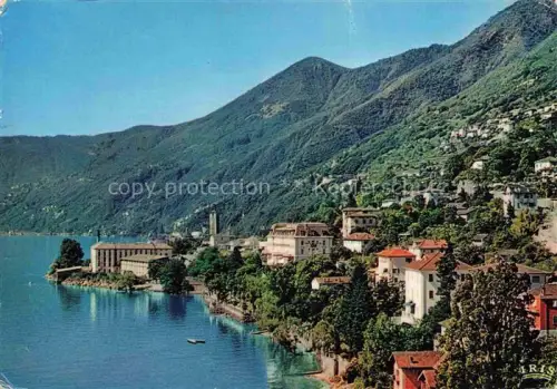AK / Ansichtskarte Brissago Lago Maggiore TI Lago-Maggiore Seeansicht Berge Ortschaft Gebaeude Wald See