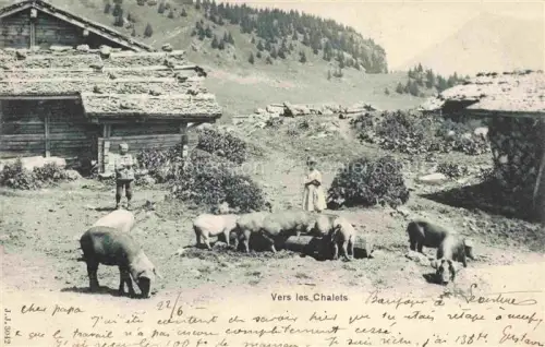 AK / Ansichtskarte Schweine Pigs Cochons Cerdos Maiali-- Vers les Chalets Kinder