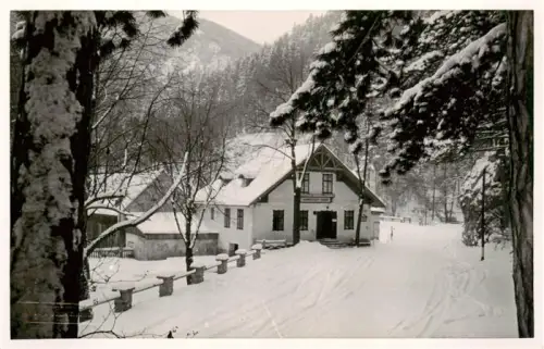 AK / Ansichtskarte Puchberg Schneeberg Niederoesterreich AT Gasthof Schrambock Sierning Winter Schnee Berge Wald