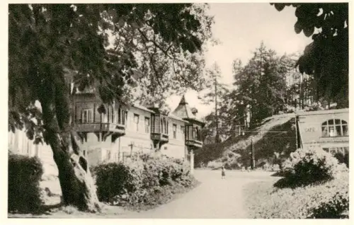 AK / Ansichtskarte Neuhaus Weissenbach Triesting Niederoesterreich AT Villen Café Promenade Baeume Weg Jugendstil