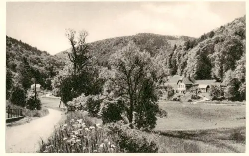 AK / Ansichtskarte Neuhaus Weissenbach Triesting Niederoesterreich AT Triestingtal Strasse Wald Huegel Haeuser Fluss
