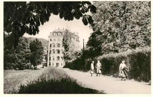AK / Ansichtskarte Neuhaus Weissenbach Triesting Niederoesterreich AT Villa Sanatorium Promenade Spaziergaenger Baeume Kastanien
