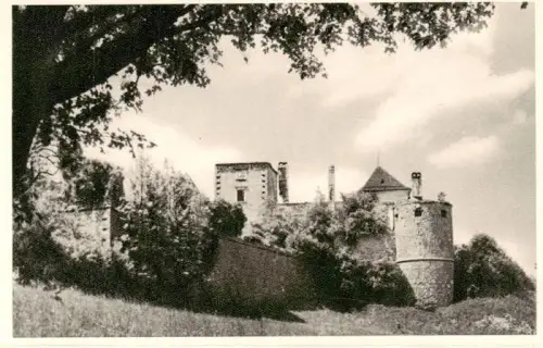 AK / Ansichtskarte Neuhaus Weissenbach Triesting Niederoesterreich AT Burg Ruine Turm Burgmauer Baeume Wiese