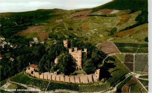 AK / Ansichtskarte Ortenberg Baden Schloss-Ortenberg Weinberge Burg Baeume Luftaufnahme Weinlagen Ortsrand